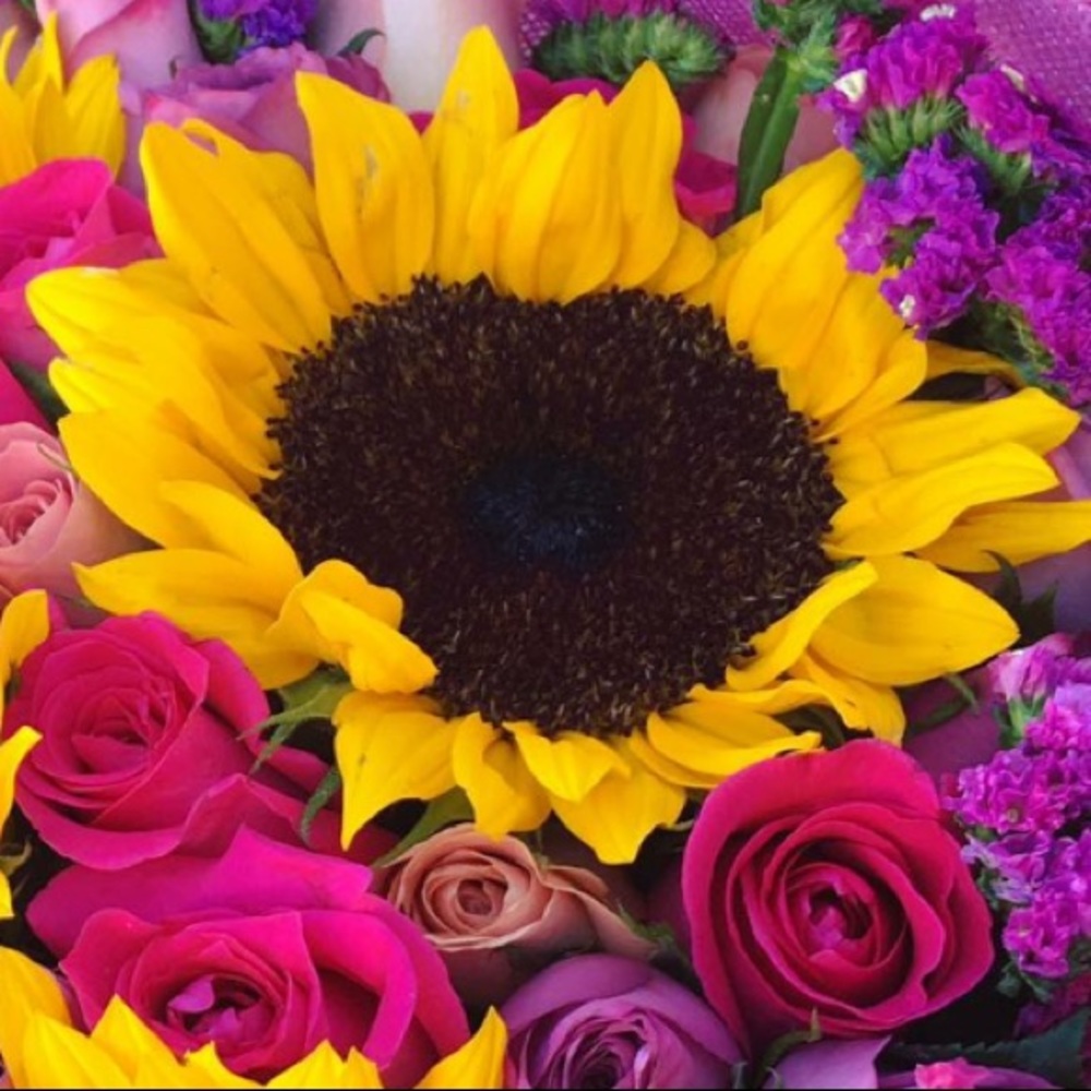 Meet your Posher, Rose